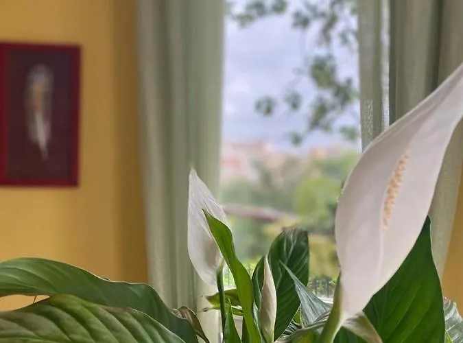 Art Julia Apartamento *